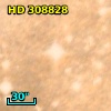 HD 308828