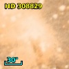 HD 308829
