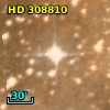 HD 308810