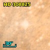 HD 308825
