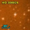 HD 308824