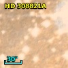 HD 308821A