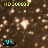 HD 308938