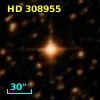 HD 308955