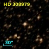 HD 308979
