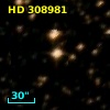 HD 308981