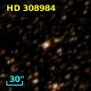 HD 308984