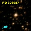 HD 308987