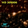 HD 309006