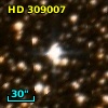 HD 309007