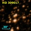 HD 309017