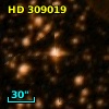 HD 309019