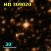 HD 309020