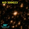 HD 309023