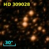 HD 309028