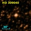 HD 309040