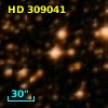 HD 309041