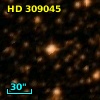 HD 309045