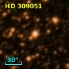 HD 309051