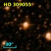 HD 309055