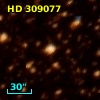 HD 309077