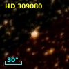 HD 309080
