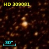 HD 309081