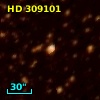 HD 309101