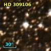 HD 309106