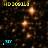 HD 309118