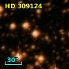HD 309124