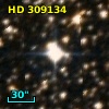 HD 309134