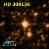 HD 309136