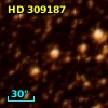 HD 309187