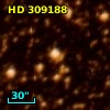 HD 309188