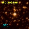 HD 309196