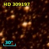 HD 309197