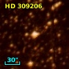 HD 309206