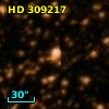 HD 309217