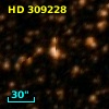 HD 309228