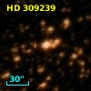 HD 309239