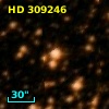 HD 309246
