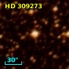 HD 309273