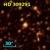 HD 309291