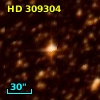 HD 309304