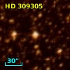 HD 309305