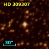 HD 309307