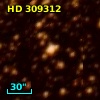 HD 309312