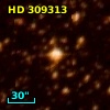 HD 309313