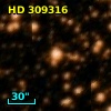 HD 309316